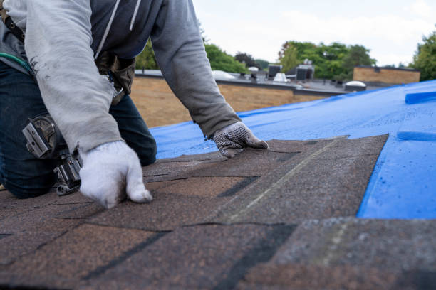 Best Storm Damage Roof Repair  in Shelley, ID